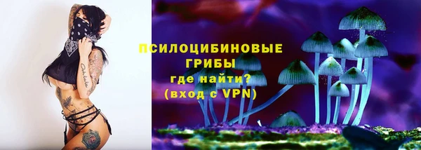индика Зеленокумск