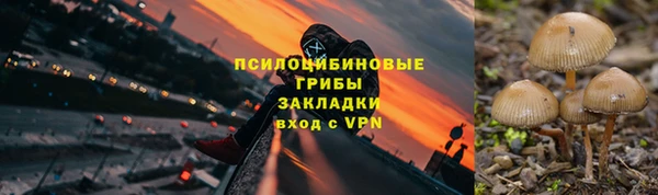 индика Зеленокумск
