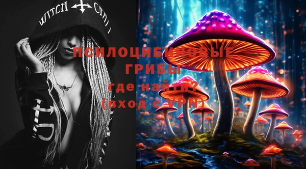 шишки Зерноград