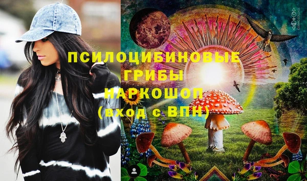 шишки Зерноград