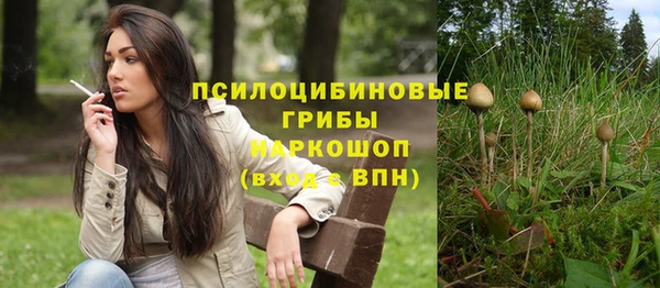 шишки Зерноград