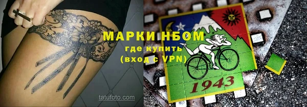 индика Зеленокумск