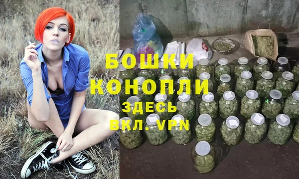 индика Зеленокумск