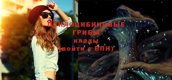 индика Зеленокумск