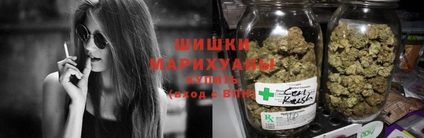 индика Зеленокумск
