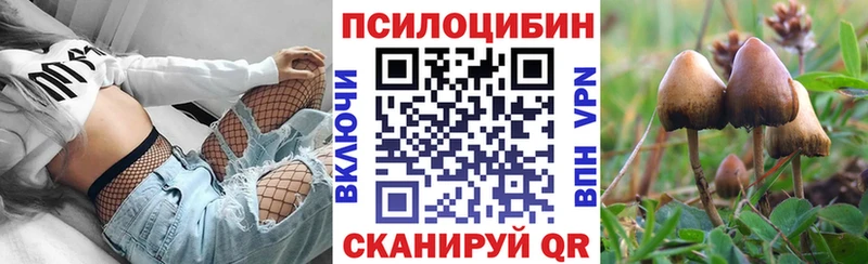 Псилоцибиновые грибы MAGIC MUSHROOMS  купить  цена  Гатчина 