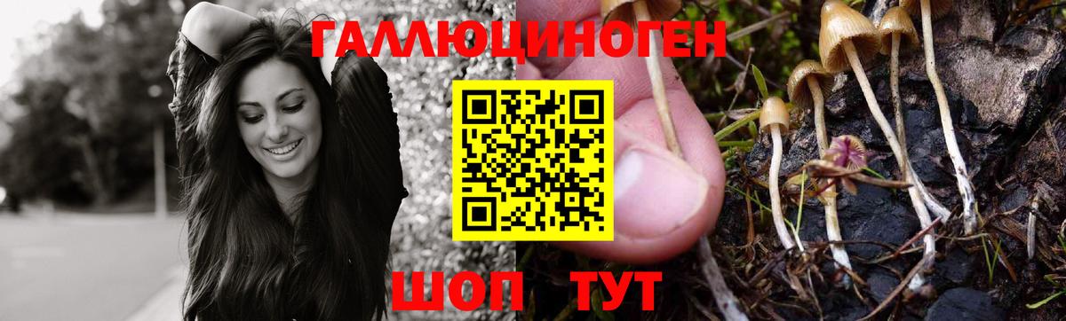 Гатчина  Галлюциногенные грибы Psilocybe  Вход с VPN  Галлюциногенные грибы Cubensis 
