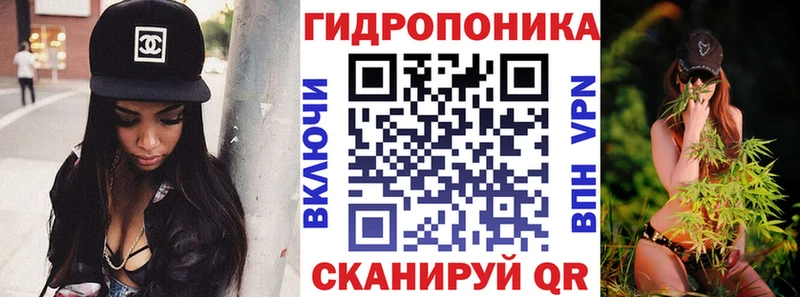 Бошки марихуана план хочу наркоту Гатчина